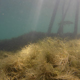 Water; Publicdomain; Cc0; Freeimage;