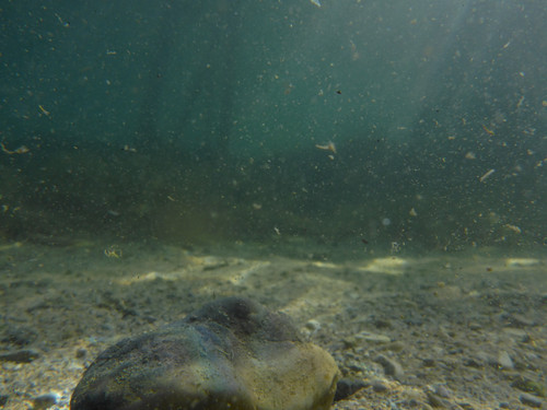 Water; Publicdomain; Cc0; Freeimage;.jpg