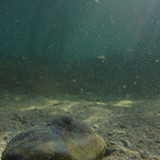 Water; Publicdomain; Cc0; Freeimage;