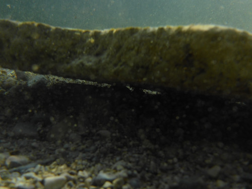 Water; Publicdomain; Cc0; Freeimage;.jpg