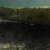 Water; Publicdomain; Cc0; Freeimage;