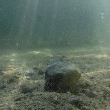 Water; Publicdomain; Cc0; Freeimage;