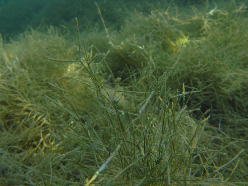 Water; Publicdomain; Cc0; Freeimage;.jpg