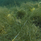 Water; Publicdomain; Cc0; Freeimage;