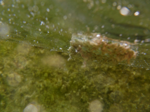 Water; Publicdomain; Cc0; Freeimage;.jpg