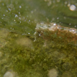 Water; Publicdomain; Cc0; Freeimage;