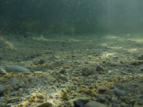 Water; Publicdomain; Cc0; Freeimage;.jpg