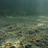 Water; Publicdomain; Cc0; Freeimage;