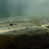 Water; Publicdomain; Cc0; Freeimage;