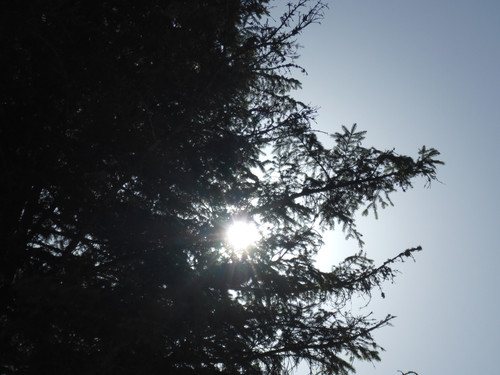 Skies Sun Bright Publicdomain (54).jpg