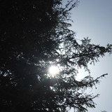 Skies Sun Bright Publicdomain (54)