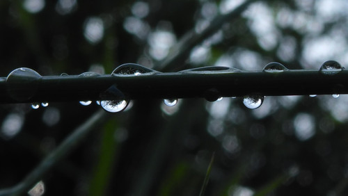 Waters Droplets Drops Wet Publicdomain (46).jpg