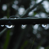 Waters Droplets Drops Wet Publicdomain (46)