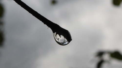 Waters Droplets Drops Wet Publicdomain (39).jpg