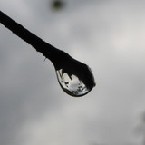 Waters Droplets Drops Wet Publicdomain (39)