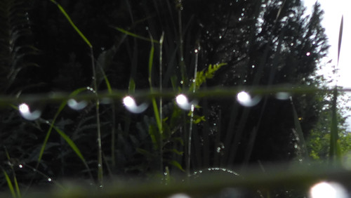 Waters Droplets Drops Wet Publicdomain (53).jpg