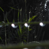 Waters Droplets Drops Wet Publicdomain (53)