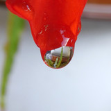 Waters Droplets Drops Wet Publicdomain (43)