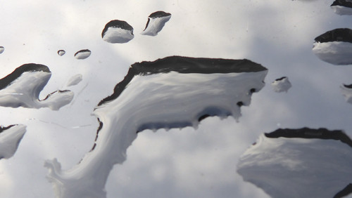 Waters Droplets Drops Wet Publicdomain (52).jpg