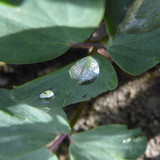 Waters Droplets Drops Wet Publicdomain (37)