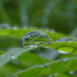 Waters Droplets Drops Wet Publicdomain (47)