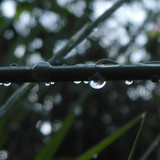 Waters Droplets Drops Wet Publicdomain (49)