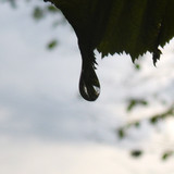 Waters Droplets Drops Wet Publicdomain (41)