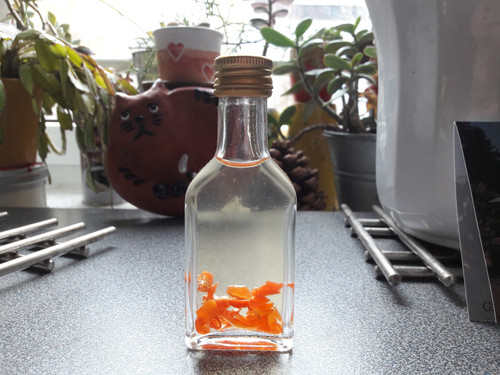 Glass; Publicdomain; Cc0; Freeimage;.jpg