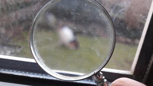 Lens; Publicdomain; Cc0; Freeimage;.jpg