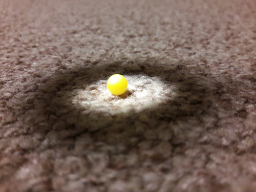 Lens; Publicdomain; Cc0; Freeimage;.jpg