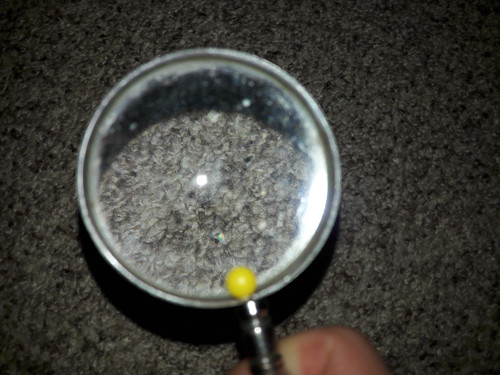 Lens; Publicdomain; Cc0; Freeimage;.jpg