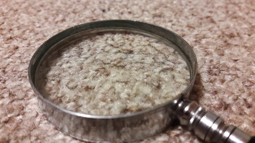 Lens; Publicdomain; Cc0; Freeimage;.jpg