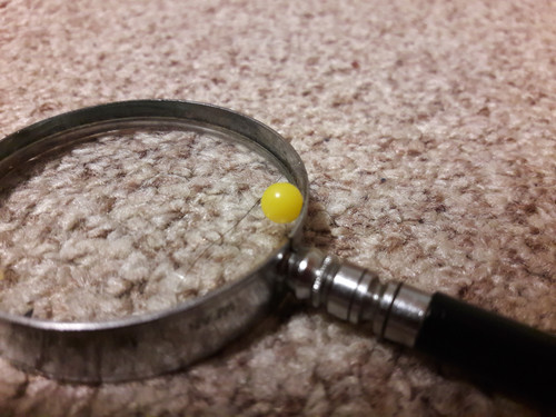 Lens; Publicdomain; Cc0; Freeimage;.jpg