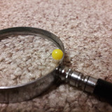 Lens; Publicdomain; Cc0; Freeimage;