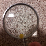 Lens; Publicdomain; Cc0; Freeimage;