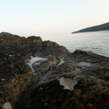 Shore; Publicdomain; Cc0; Freeimage;