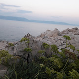 Shore; Publicdomain; Cc0; Freeimage;