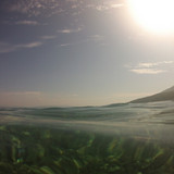 Shore; Publicdomain; Cc0; Freeimage;