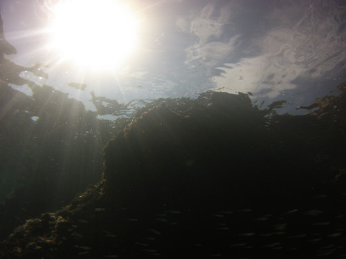 Shore; Publicdomain; Cc0; Freeimage;.jpg