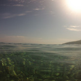 Shore; Publicdomain; Cc0; Freeimage;