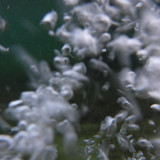 Waters Bubbles Publicdomain (34)