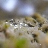 Waters Bubbles Publicdomain (37)