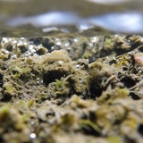 Waters Bubbles Publicdomain (36)