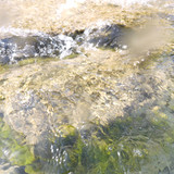 Water; Publicdomain; Cc0; Freeimage;