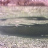 Water; Publicdomain; Cc0; Freeimage;