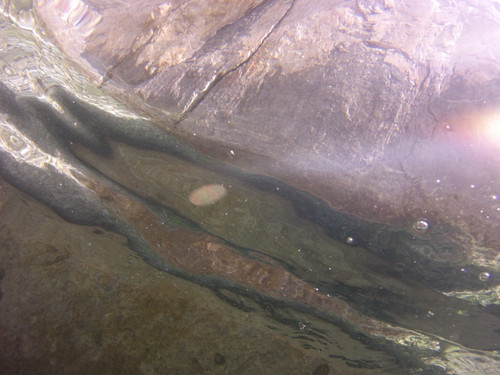 Water; Publicdomain; Cc0; Freeimage;.jpg