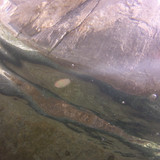 Water; Publicdomain; Cc0; Freeimage;