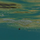 Water; Publicdomain; Cc0; Freeimage;