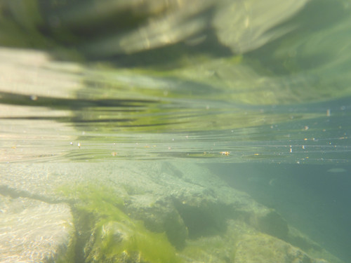 Water; Publicdomain; Cc0; Freeimage;.jpg