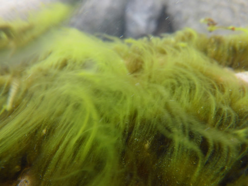 Water; Publicdomain; Cc0; Freeimage;.jpg